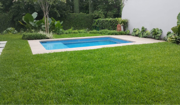 Área de alberca después de la instalación de áreas verdes